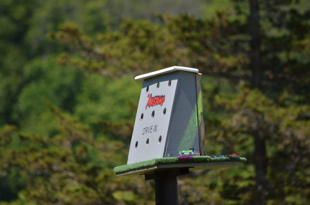 image of mustang drive-in birdhouse, birdhouse city, picton, ontario