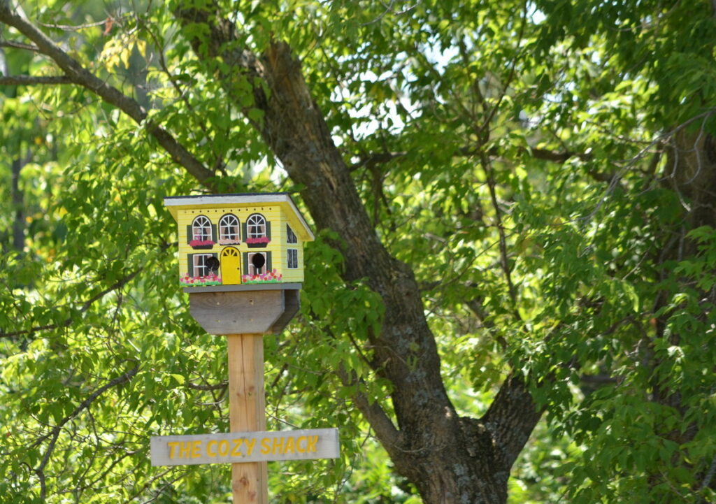 image of the cozy shack birdhouse, birdhouse city, picton, ontario