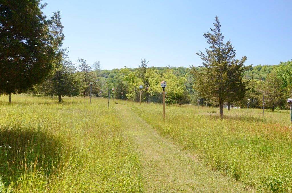 image of the trail, birdhouse city, picton, prince edward county, ontario