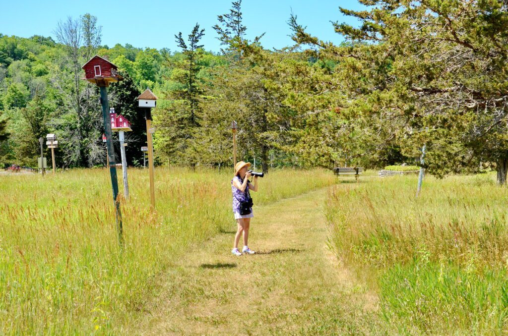 image of jean at birdhouse city, picton, prince edward county, ontario 