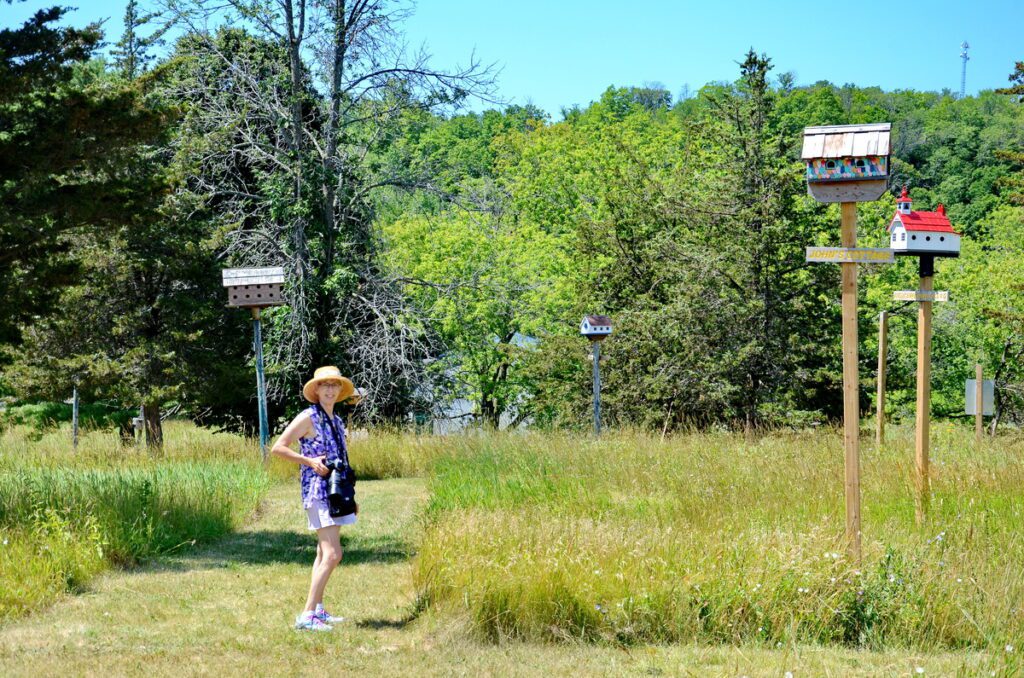 image of jean at birdhouse city, picton, ontario