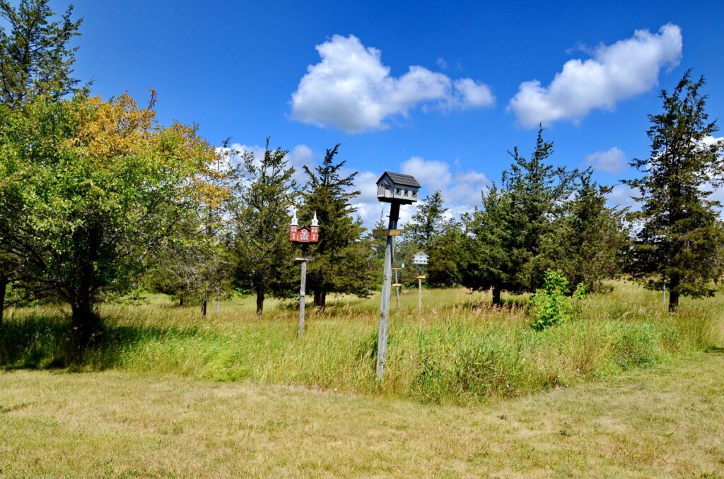 image of mountain view church birdhouse, birdhouse city, picton, ontario