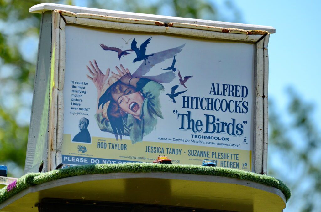 image of "The Birds" movie billboard, birdhouse city, picton, ontario
