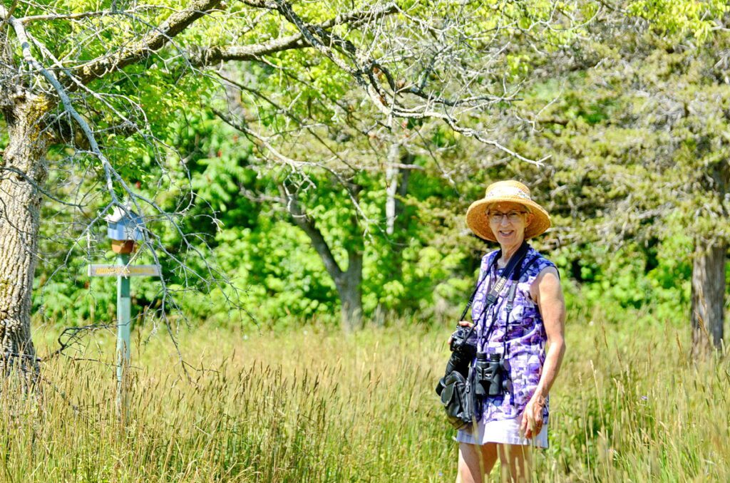 image of jean at birdhouse city, picton, ontario