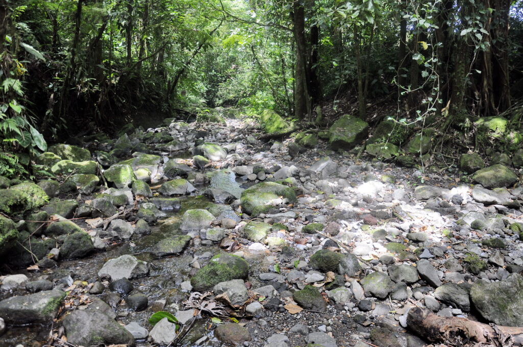 image of a dry riverbed, arenal observatory, costa rica