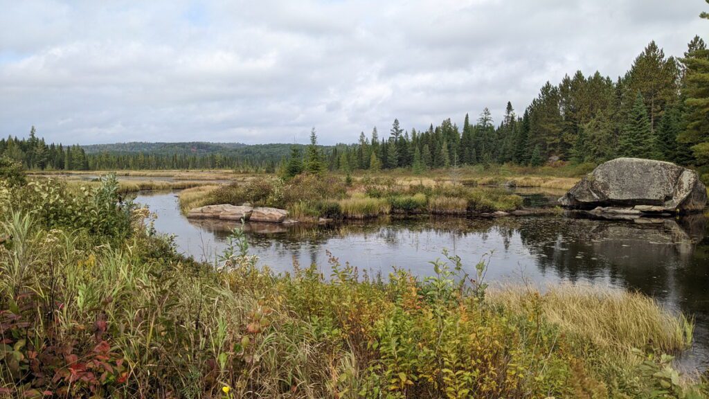 Image of stream in Algonquin Provincial Park in Ontario, Canada.