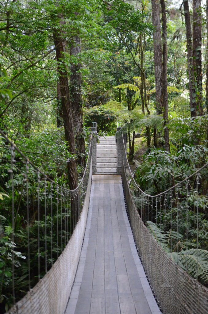 image of danta hanging bridge, arenal observatory, costa rica