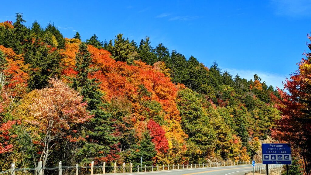 Image of fall color along highway 60 in Algonquin Provincial Park in Ontario, Canada.