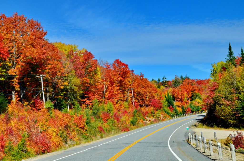 Image of the fall colors along highway 60 in Algonquin Provincial Park in Ontario, Canada.