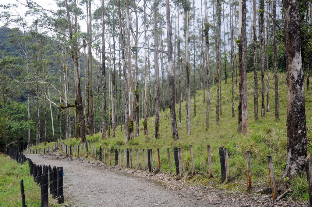 image of a farm road, arenal observatory, costa rica