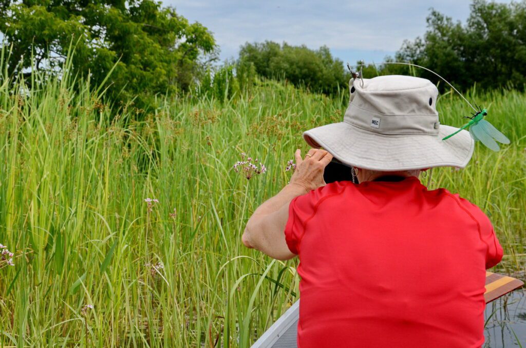 image of jean photographing a flower on east lake, sandbanks provincial park, ontario
