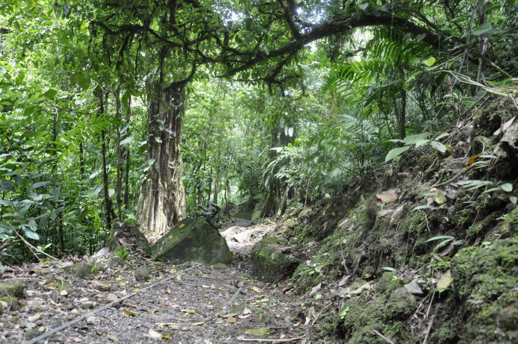 image of los congrejos trail, arenal observatory, costa rica