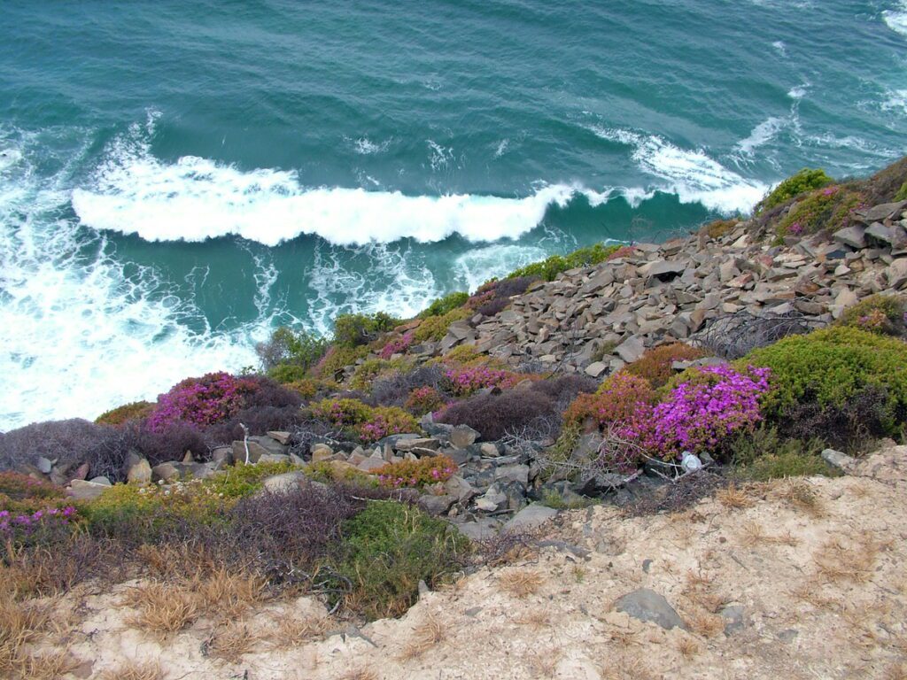 image of cliffs and surf, cape st. blaize, mossel bay, south africa