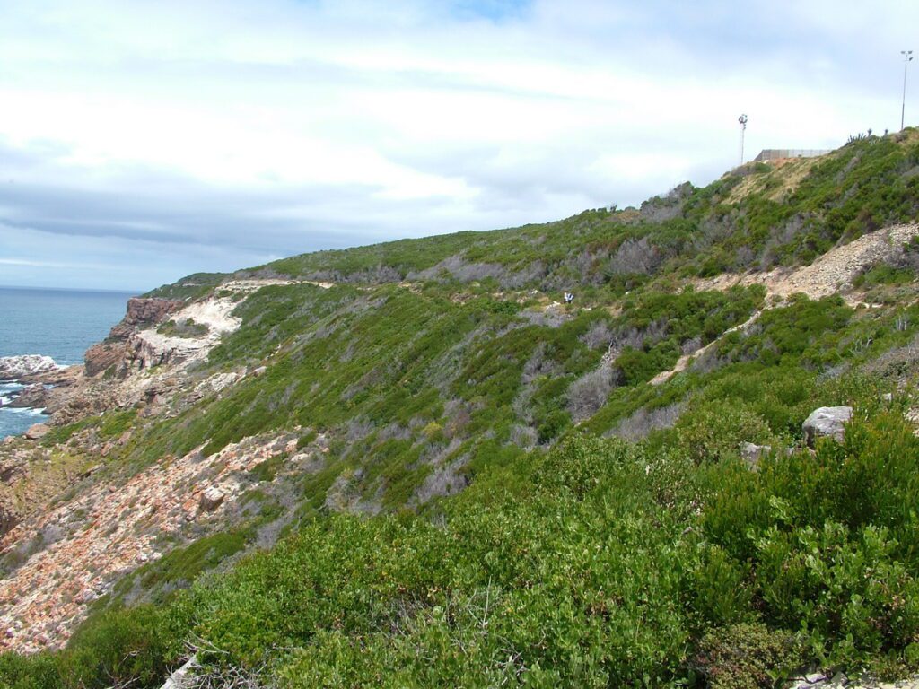 image of cape st. blaize trail, mossel bay, south africa