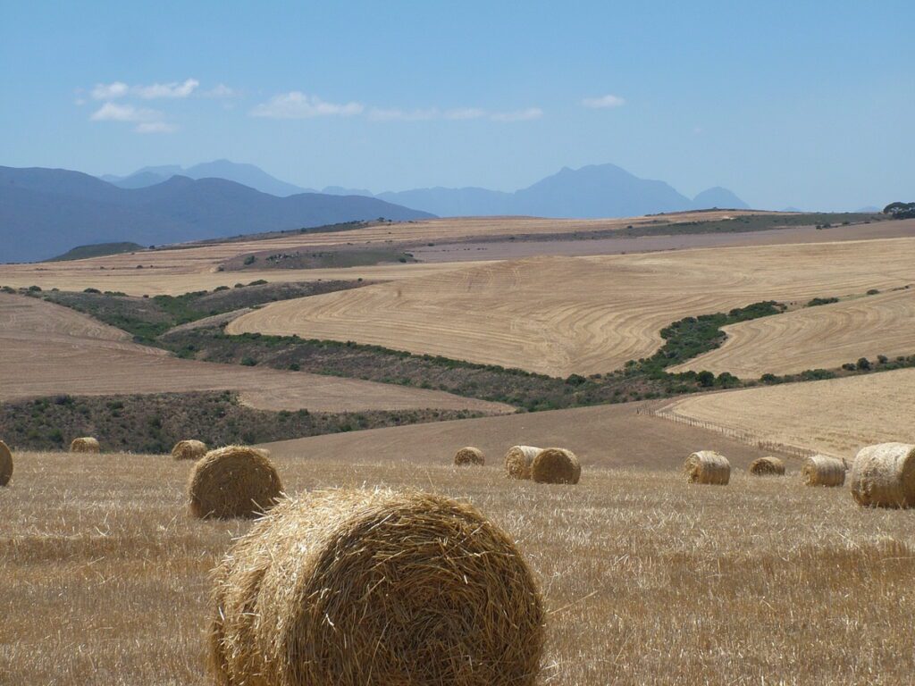 image of hay bales and farm fields, south africa