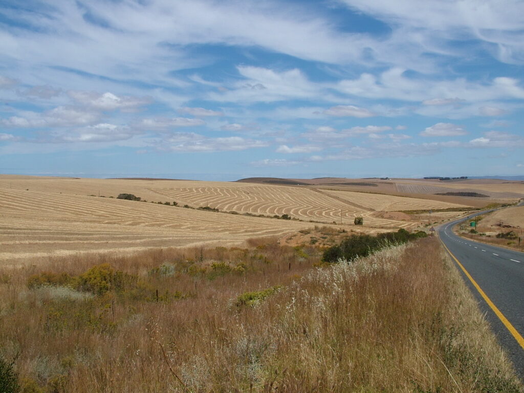 image of highway through grain-growing region, south africa