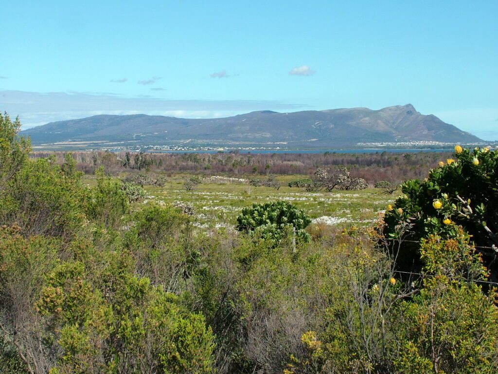 image of coastal mountains near cape town, south africa