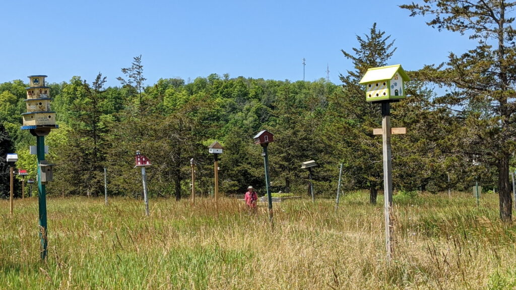 image of a number of birdhouses, birdhouse city, picton, prince edward county, ontario