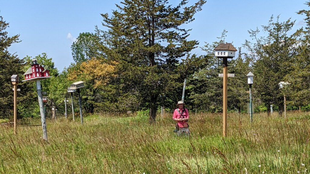 image of bob among the birdhouses, birdhouse city, picton, ontario