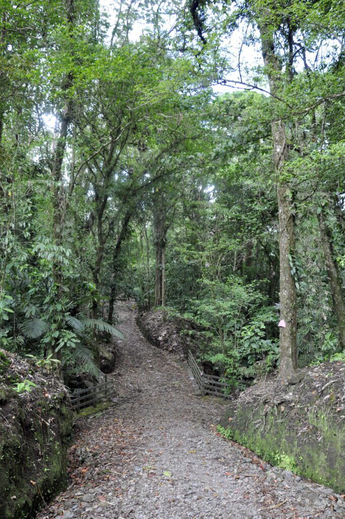 image of a forest trail, arenal observatory, costa rica