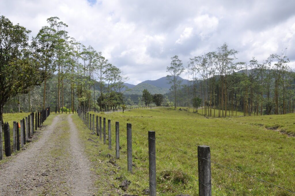 image of fence posts along a gravel road, arenal observatory, costa rica