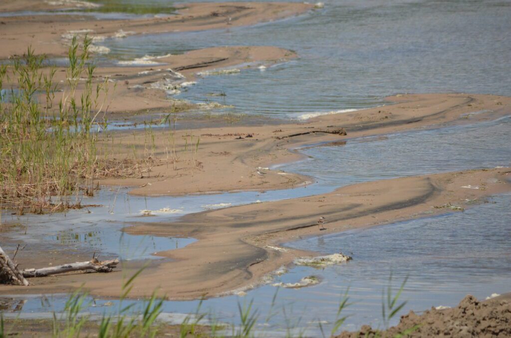 image of jutting sandbars, sandbanks provincial park, ontario