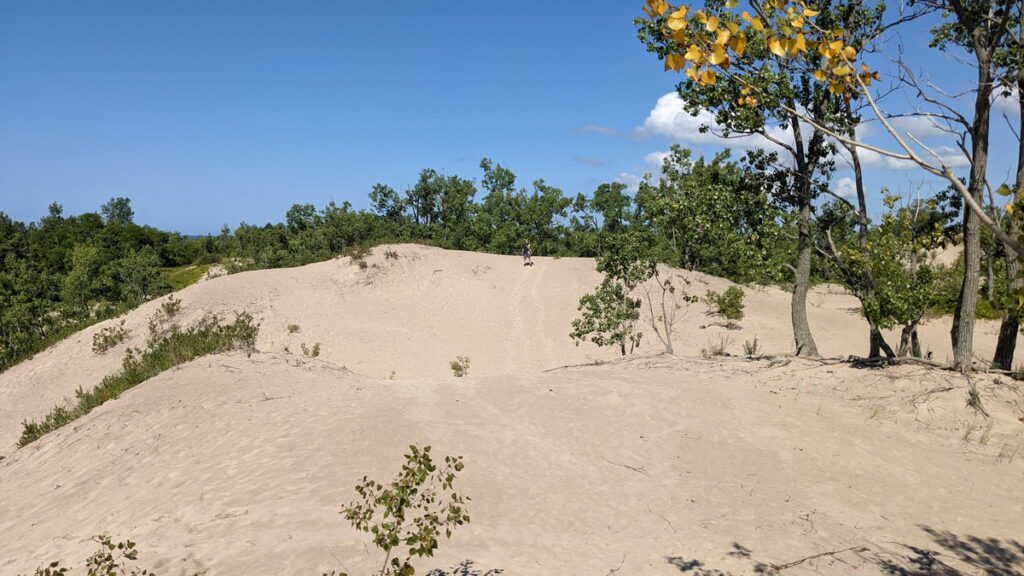 image of bob on a sand dune, sandbanks provincial park, ontario