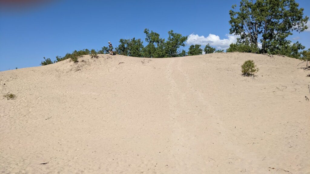 image of bob on top of a sand dune, sandbanks provincial park, ontario