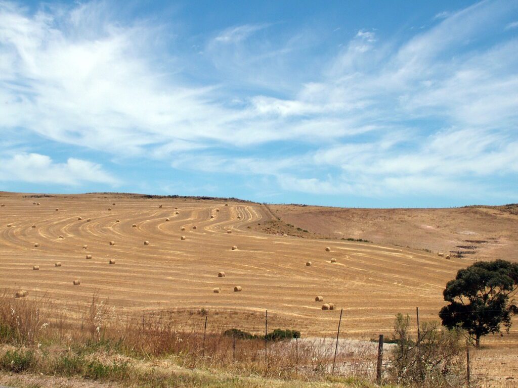 image of blue sky and fields of baled straw, south africa