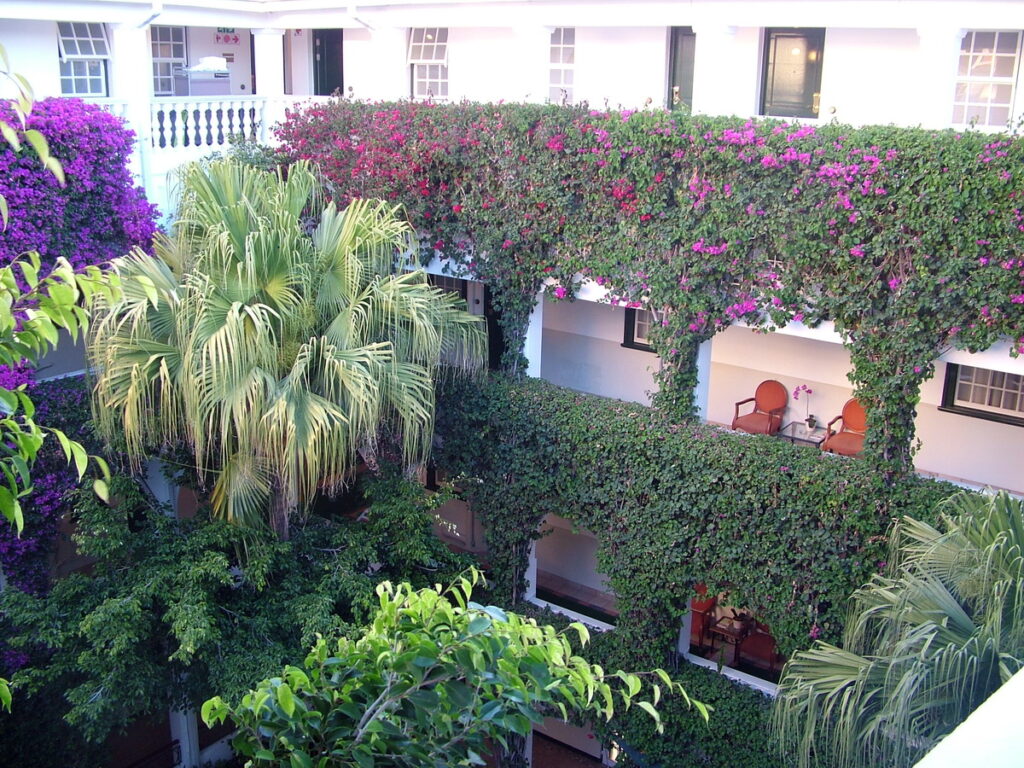 image of inner courtyard, winchester mansions hotel, cape town, south africa