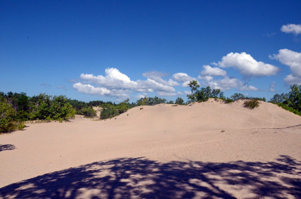 image of sand dunes, sandbanks provincial park, ontario