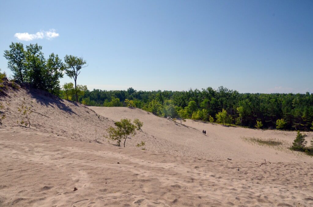 image of sand dunes, sandbanks provincial park, ontario