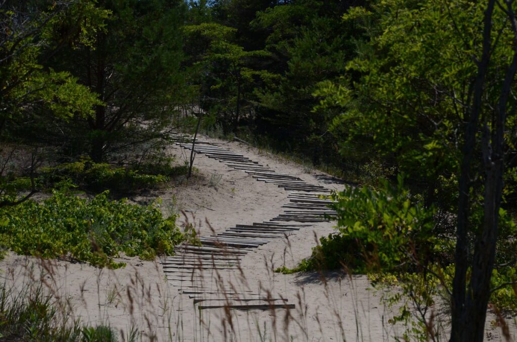 image of boardwalk, dunes trail, sandbanks provincial park, ontario