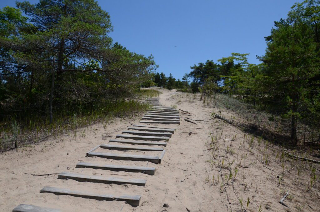 image of boardwalk through the dunes, dunes trail, sandbanks provincial park, ontario
