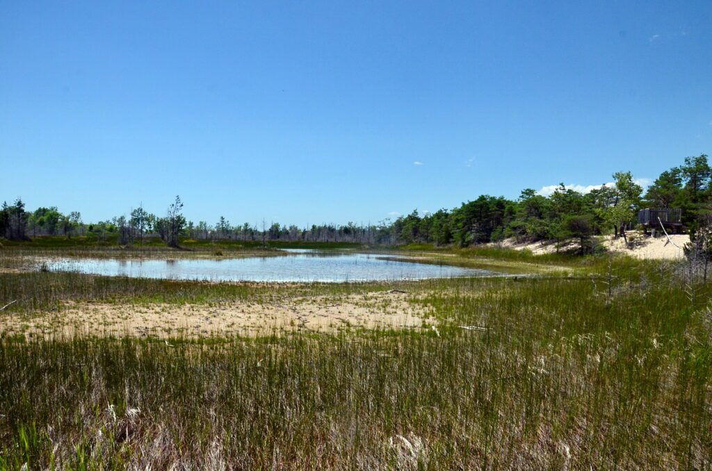 image of a natural panne, dunes trail, sandbanks provincial park, ontario