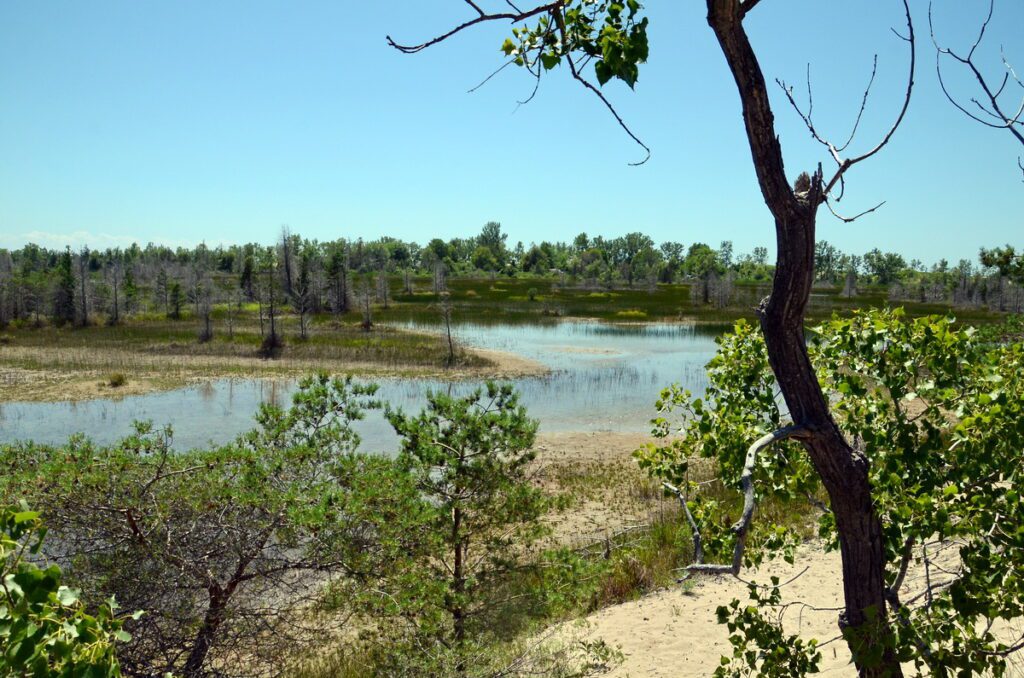 image of a natural panne, dunes trail, sandbanks provincial park, ontario