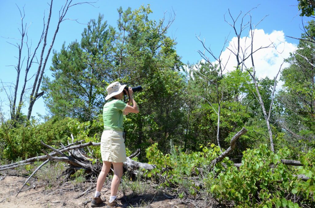 image of jean taking a photo, dunes trail, sandbanks provincial park, ontario