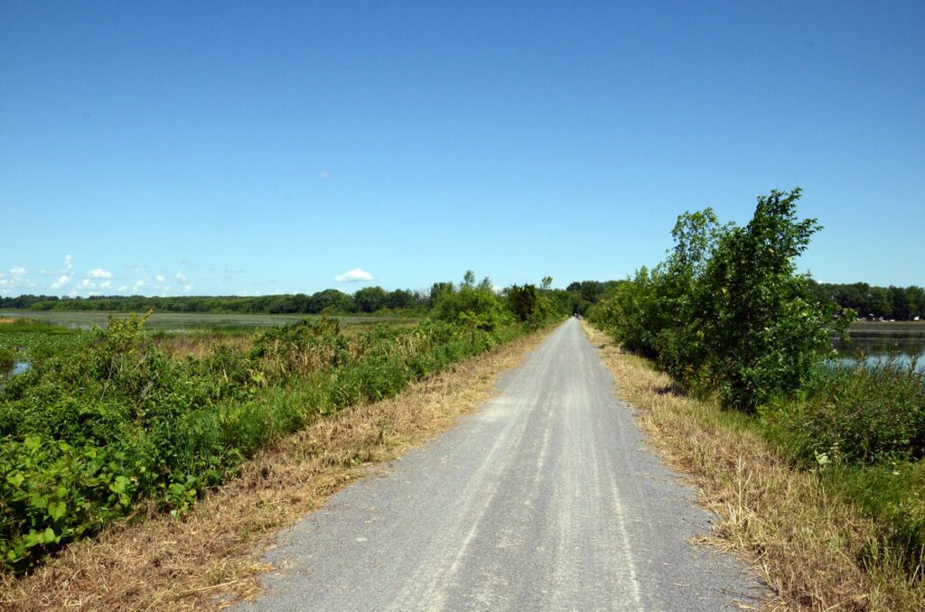 image of the marsh and consecon lake, millennium trail, prince edward county, ontario