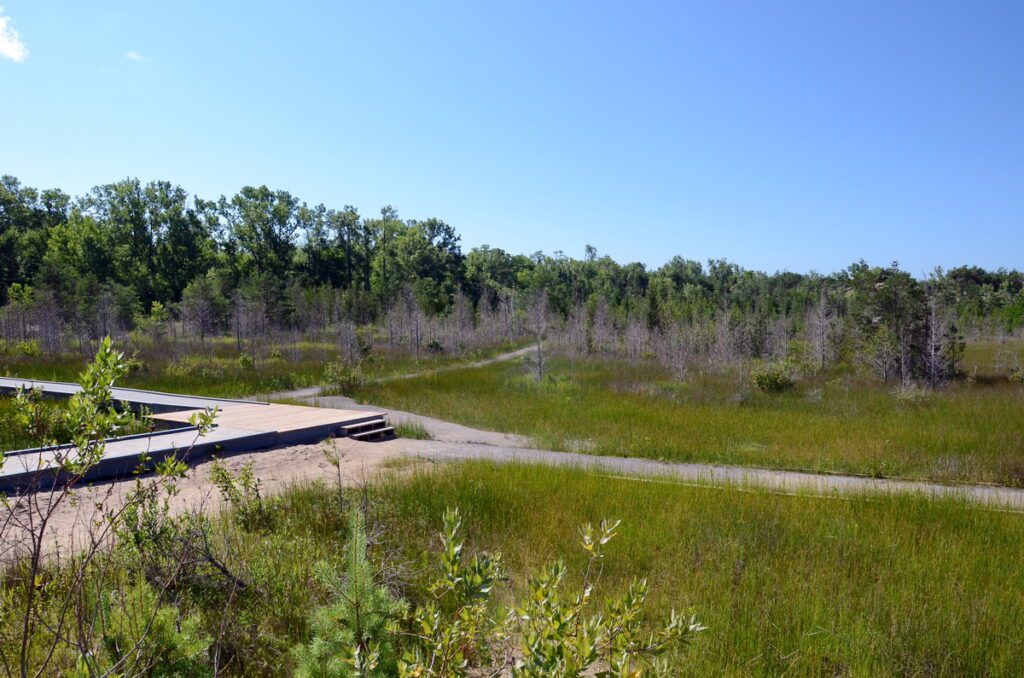 image of trailhead, dunes trail, sandbanks provincial park, ontario