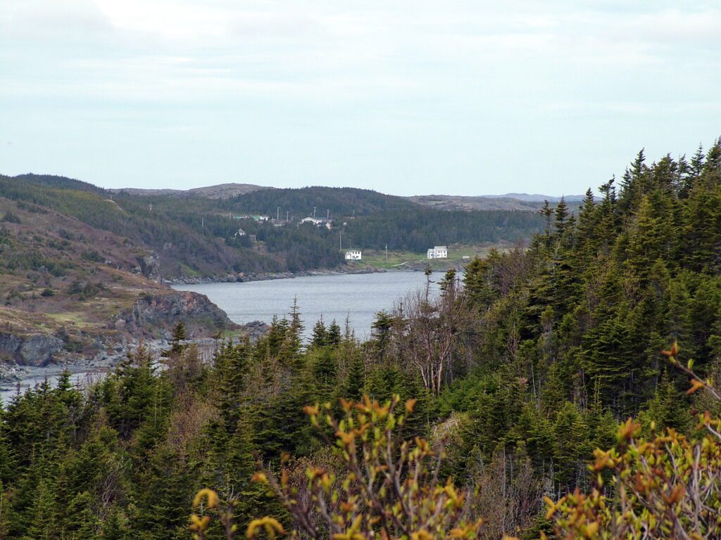 image of gunner's cove from camel's back trail, camel island, newfoundland