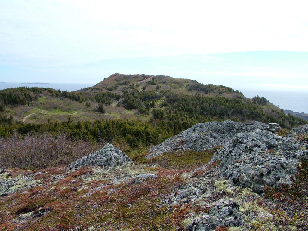 image of terrain along camel's back trail, camel island, newfoundland