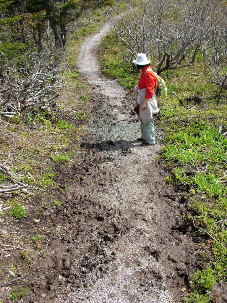 image of jean on camel's back trail, camel island, newfoundland