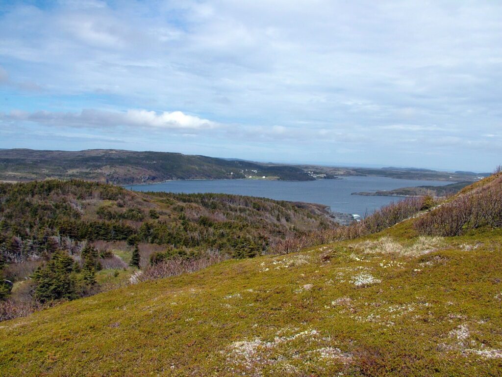 image of ocean view from camel's back trail, newfoundland
