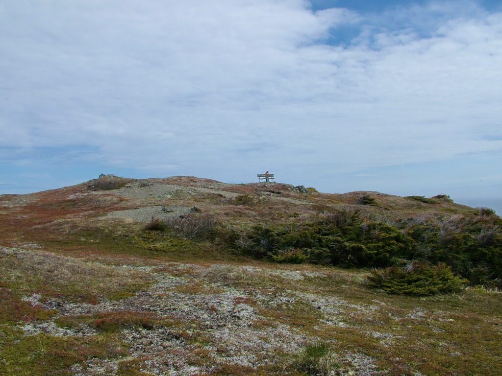 image of rugged terrain, camel's back trail, camel island, newfoundland