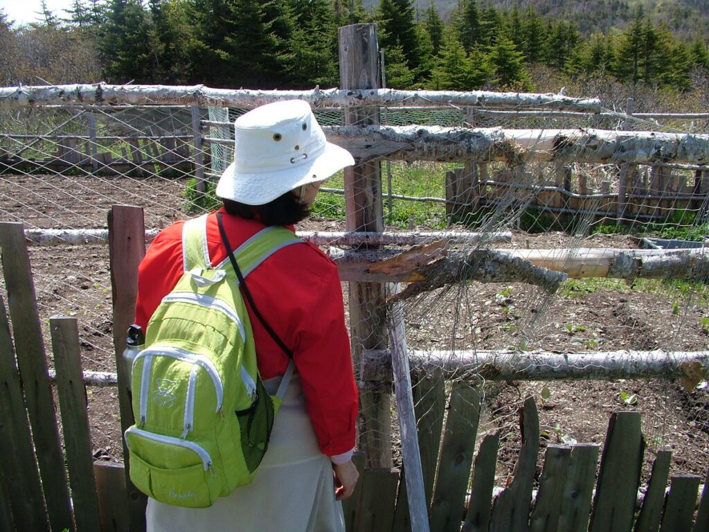 image of jean at a garden plot, camel's back trail, camel island, newfoundland