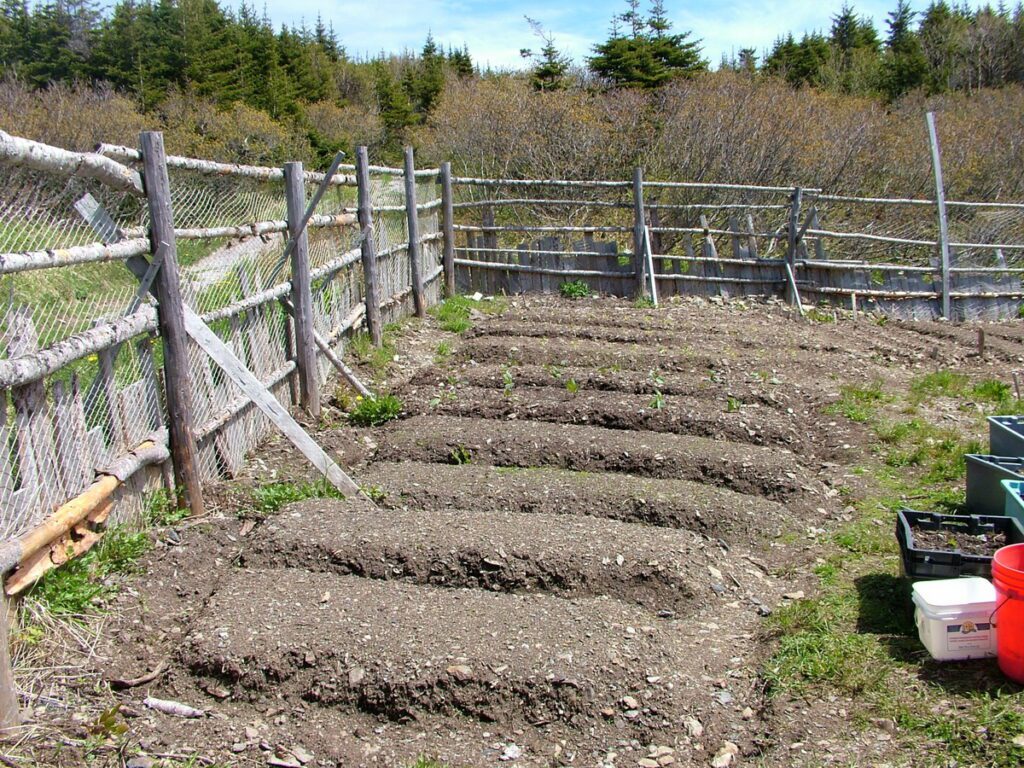 image of a fenced garden plot, camel's back trail, camel island, newfoundland