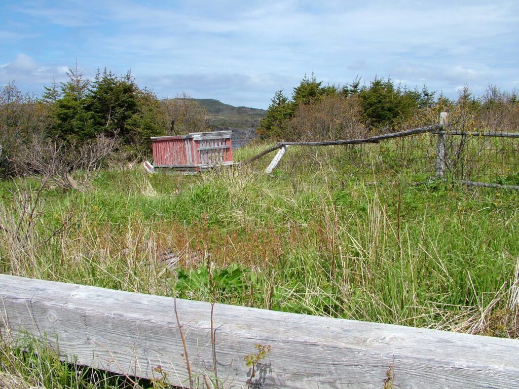 image of a wooden sledge, camel's back trail, camel island, newfoundland