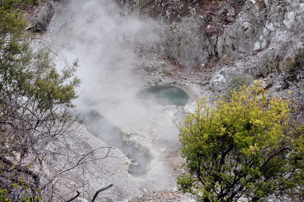 image of steaming pools, wai-o-tapu thermal wonderland, rotorua, new zealand