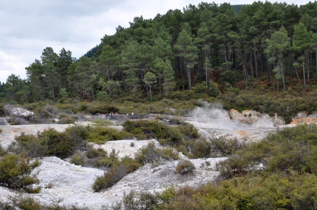 image of thermal landscape, wai-o-tapu thermal wonderland, rotorua, new zealand
