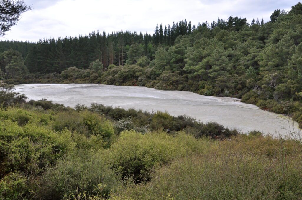 image of primrose terrace, wai-o-tapu thermal wonderland, new zealand